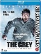 The Grey (2011) Dual Audio Movie